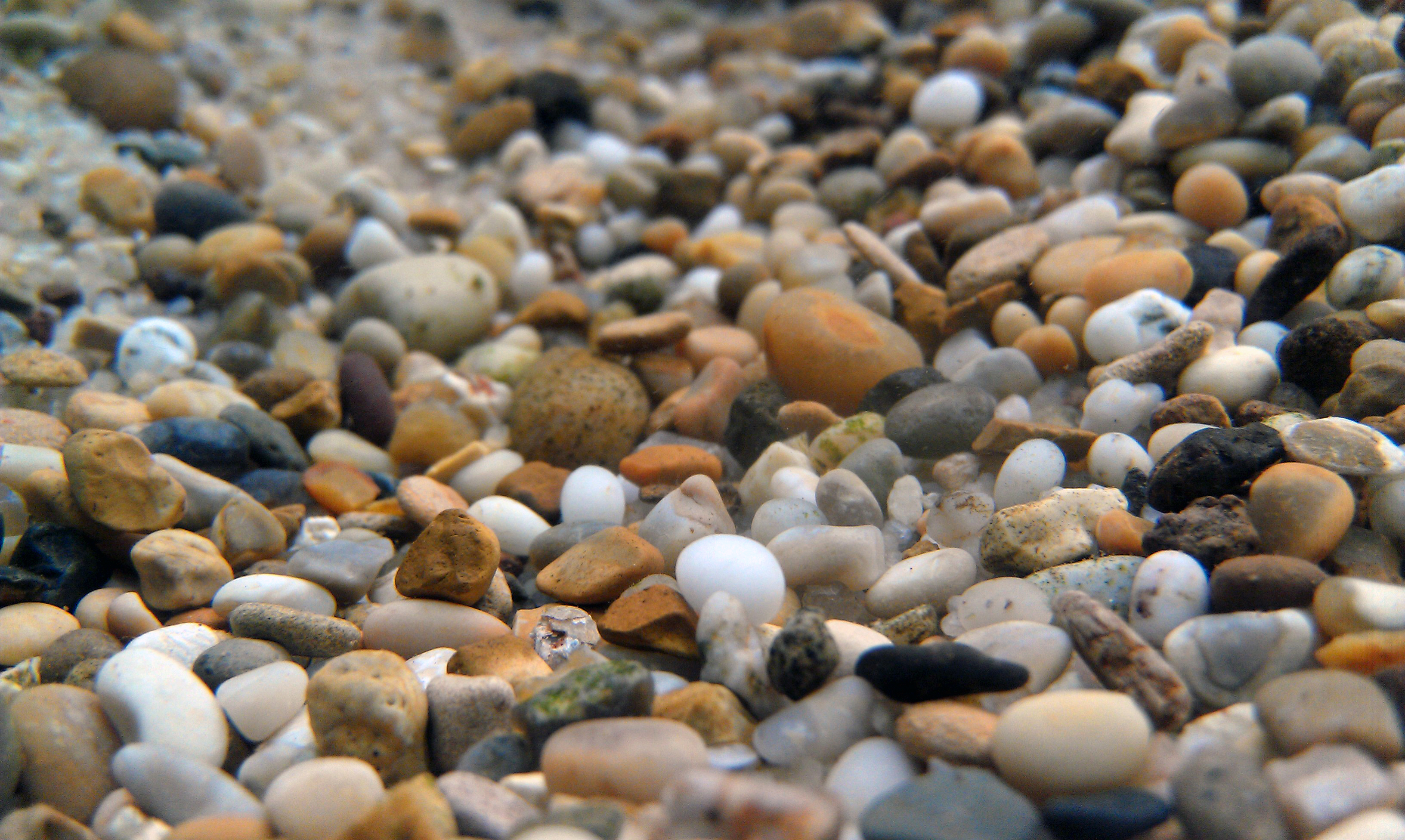 A layer of natural aquarium gravel across the bottom of a tank